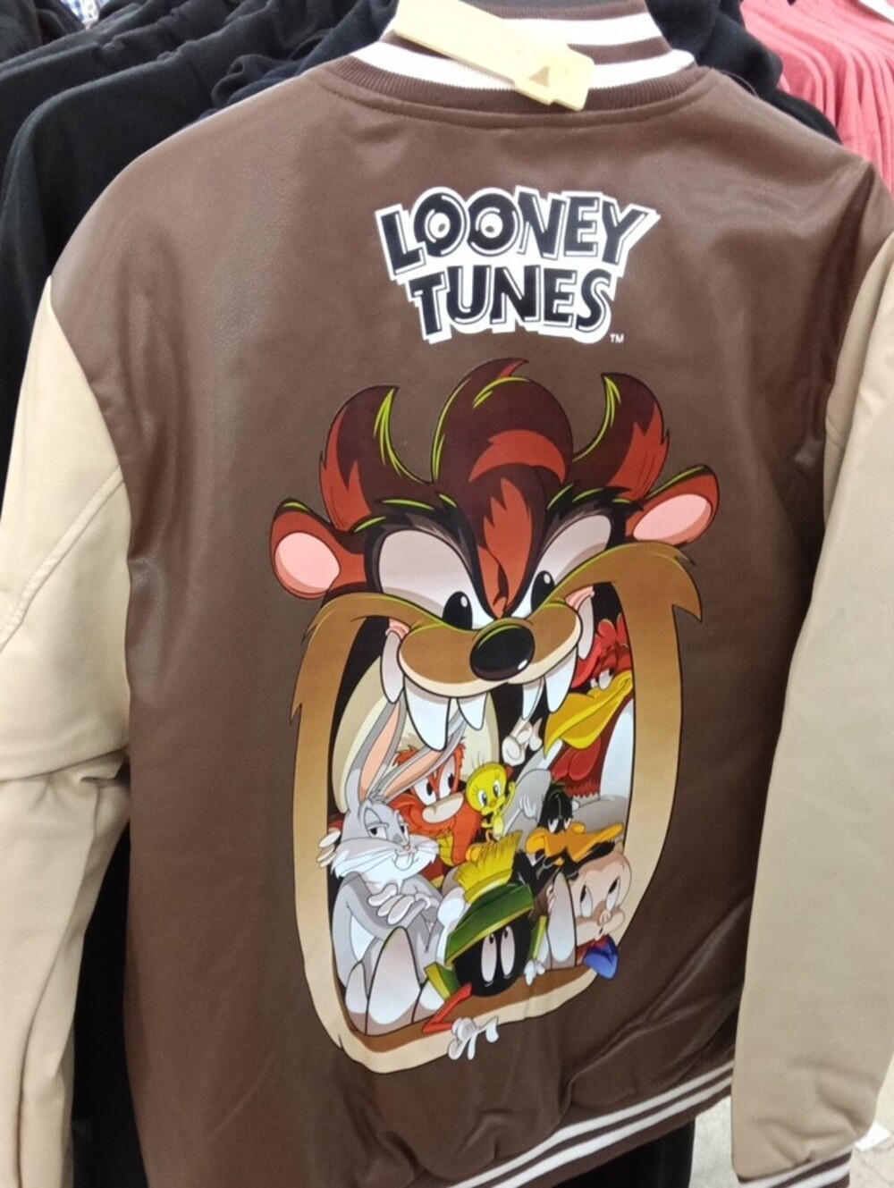 Looney Tunes Taz Bomber Jacket Members Only Large